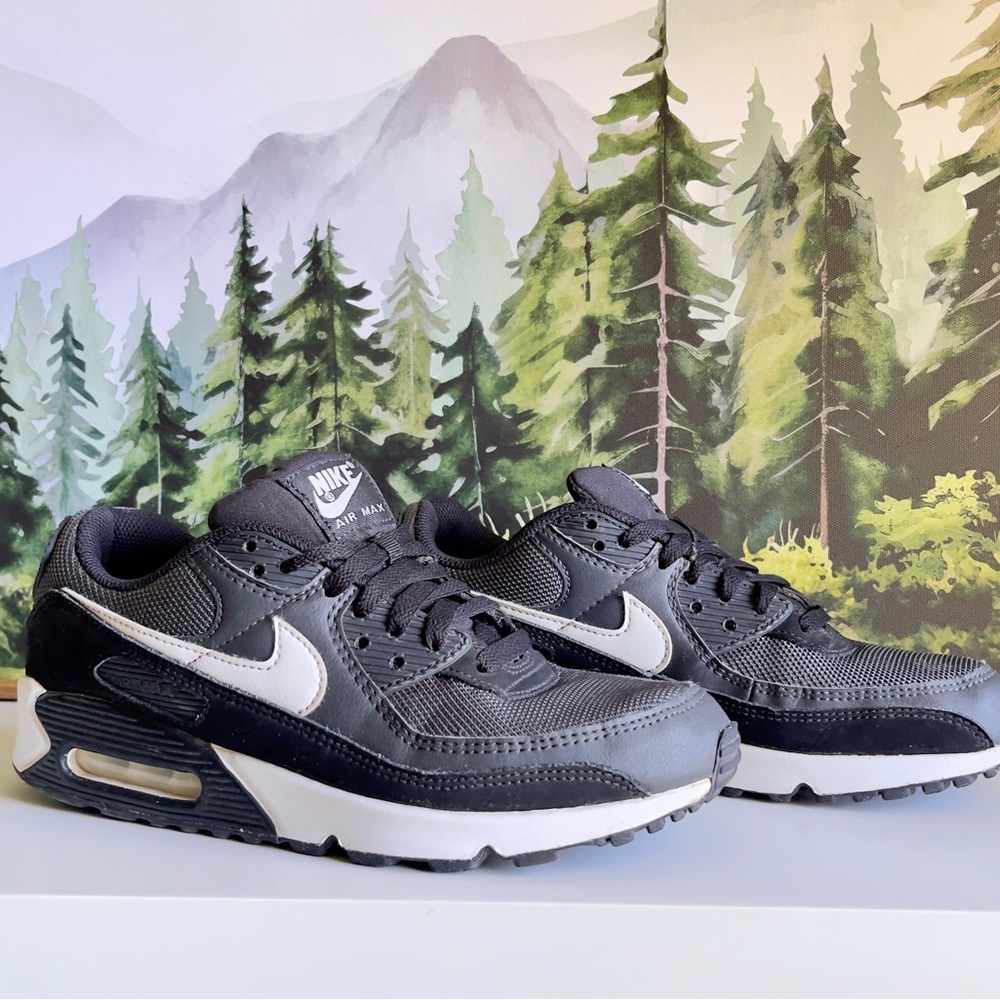 Nike AIR MAX 90 •Iron Grey• Size 8.5 (Men’s) or Size 10 (Women’s)